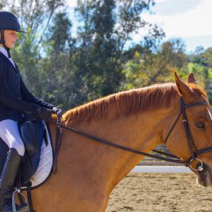 MZ Equestrian Adult Dressage 1/18/26 (IMG_8413)