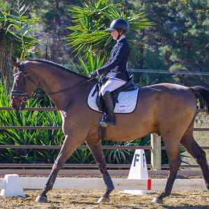 MZ Equestrian Adult Dressage 1/18/26 (IMG_8461)