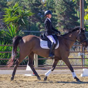 MZ Equestrian Adult Dressage 1/18/26 (IMG_8486)