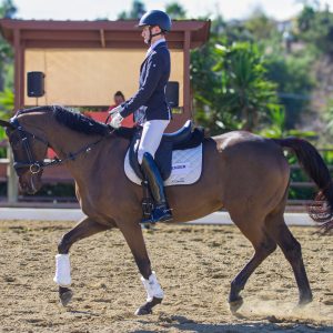MZ Equestrian Adult Dressage 1/18/26 (IMG_8605)