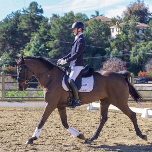 MZ Equestrian Adult Dressage 1/18/26 (IMG_8626)