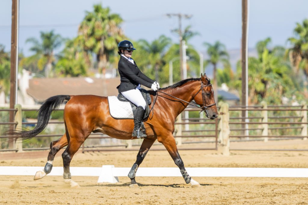 390 3 Varsity Intermediate Dressage Test