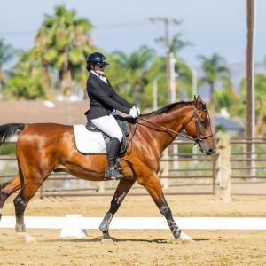 390 3 Varsity Intermediate Dressage Test 2J1A0108