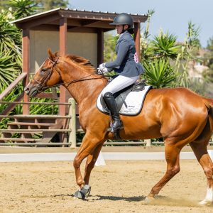Unknown Riders 2J1A0389