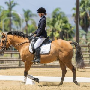 1AD Adult Dressage Test - Novice 2J1A1415