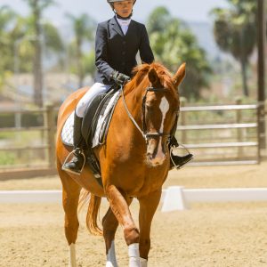 12 Future Novice Dressage Seat Equitation 2J1A2338