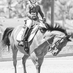 12 Future Novice Dressage Seat Equitation 2J1A2339