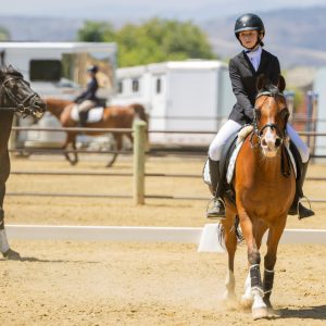 12 Future Novice Dressage Seat Equitation 2J1A2348