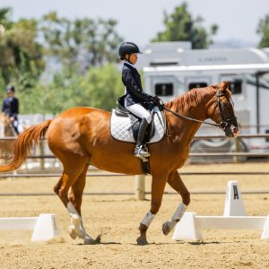 12 Future Novice Dressage Seat Equitation 2J1A2353
