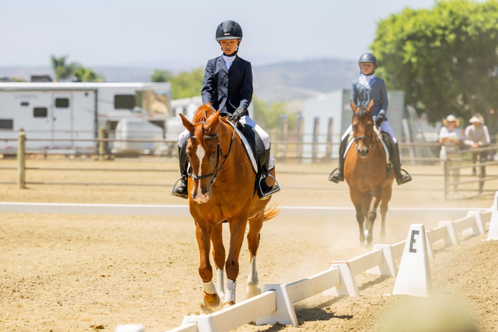 12 Future Novice Dressage Seat Equitation