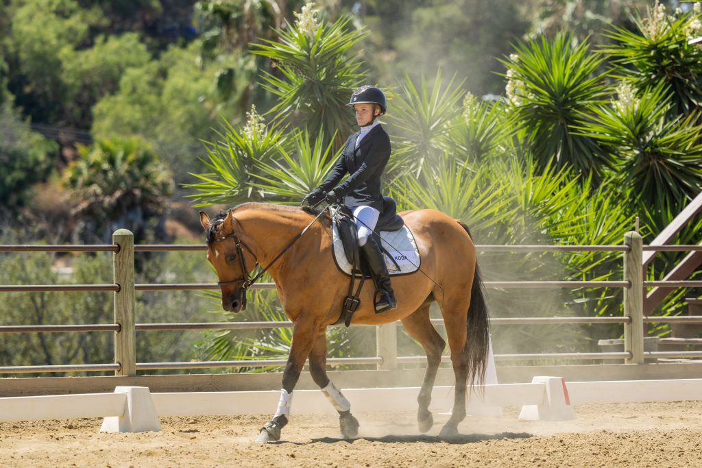 7 JV Beginner and 13 Future Beginner Dressage Seat Equitation