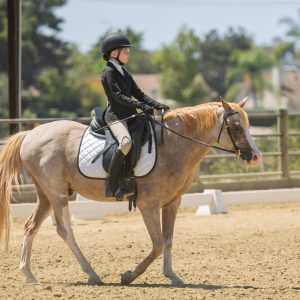 14 Future Beginner Dressage Seat Equitation 2J1A2473