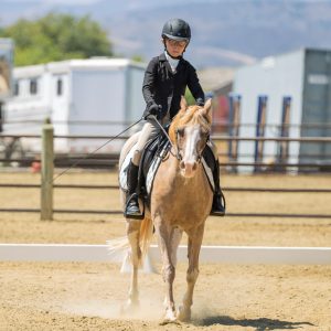 14 Future Beginner Dressage Seat Equitation 2J1A2569
