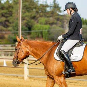 368 1 Varsity Open Dressage Test 2J1A9181