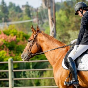 368 1 Varsity Open Dressage Test 2J1A9187