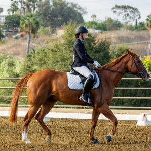 368 1 Varsity Open Dressage Test 2J1A9196