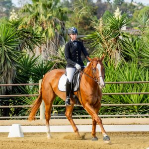 368 1 Varsity Open Dressage Test 2J1A9203