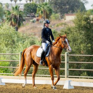 368 1 Varsity Open Dressage Test 2J1A9211