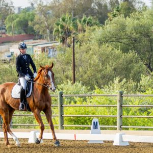 368 1 Varsity Open Dressage Test 2J1A9224