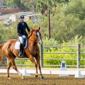 368 1 Varsity Open Dressage Test 2J1A9225