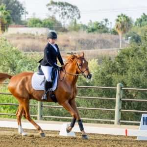 397 1 Varsity Open Dressage Test 2J1A9267