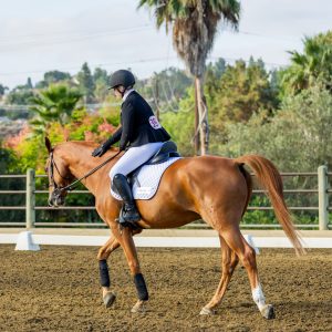 397 1 Varsity Open Dressage Test 2J1A9305