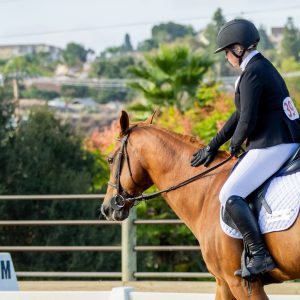 397 1 Varsity Open Dressage Test 2J1A9306