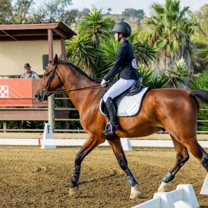 372 1 Varsity Open Dressage Test 2J1A9320