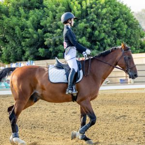 372 1 Varsity Open Dressage Test 2J1A9328