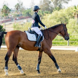 372 1 Varsity Open Dressage Test 2J1A9330