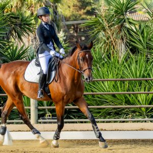 372 1 Varsity Open Dressage Test 2J1A9347