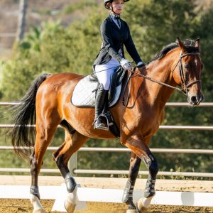 372 1 Varsity Open Dressage Test 2J1A9372