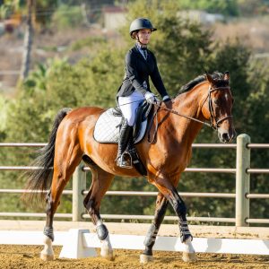 372 1 Varsity Open Dressage Test 2J1A9373