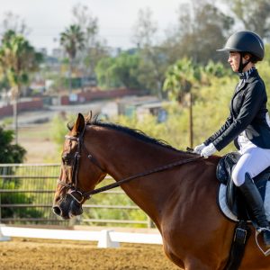 372 1 Varsity Open Dressage Test 2J1A9388