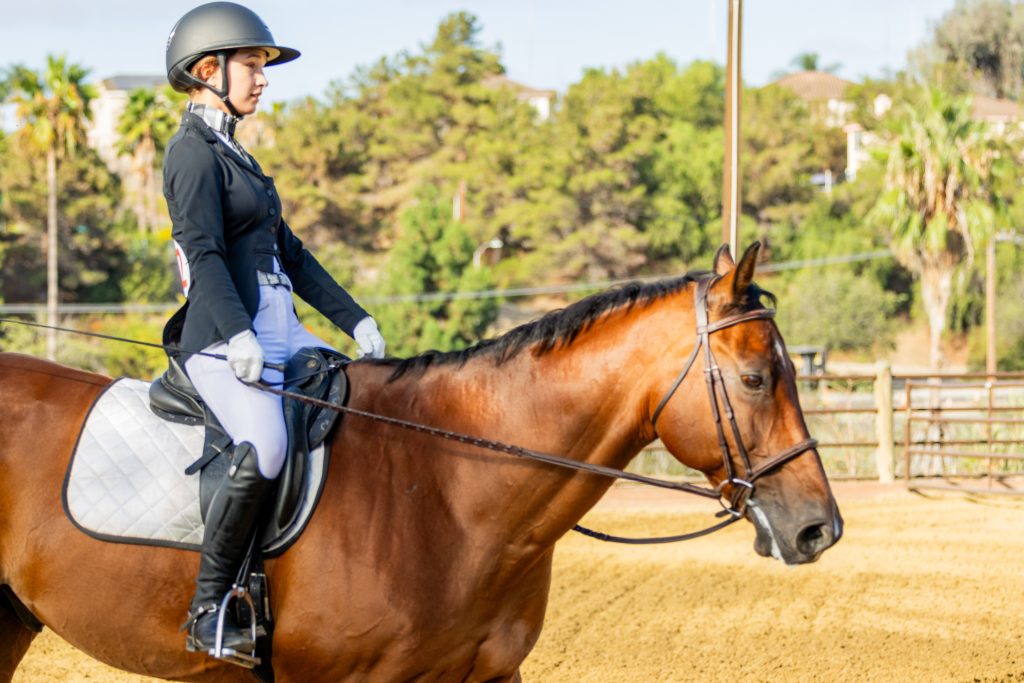 372 1 Varsity Open Dressage Test