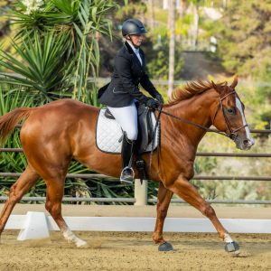 370 1 Varsity Open Dressage Test 2J1A9463