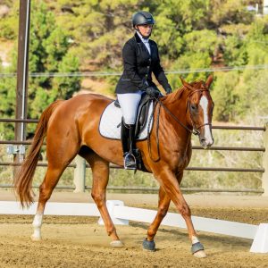 370 1 Varsity Open Dressage Test 2J1A9478