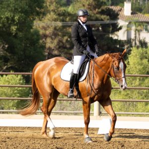 370 1 Varsity Open Dressage Test 2J1A9490