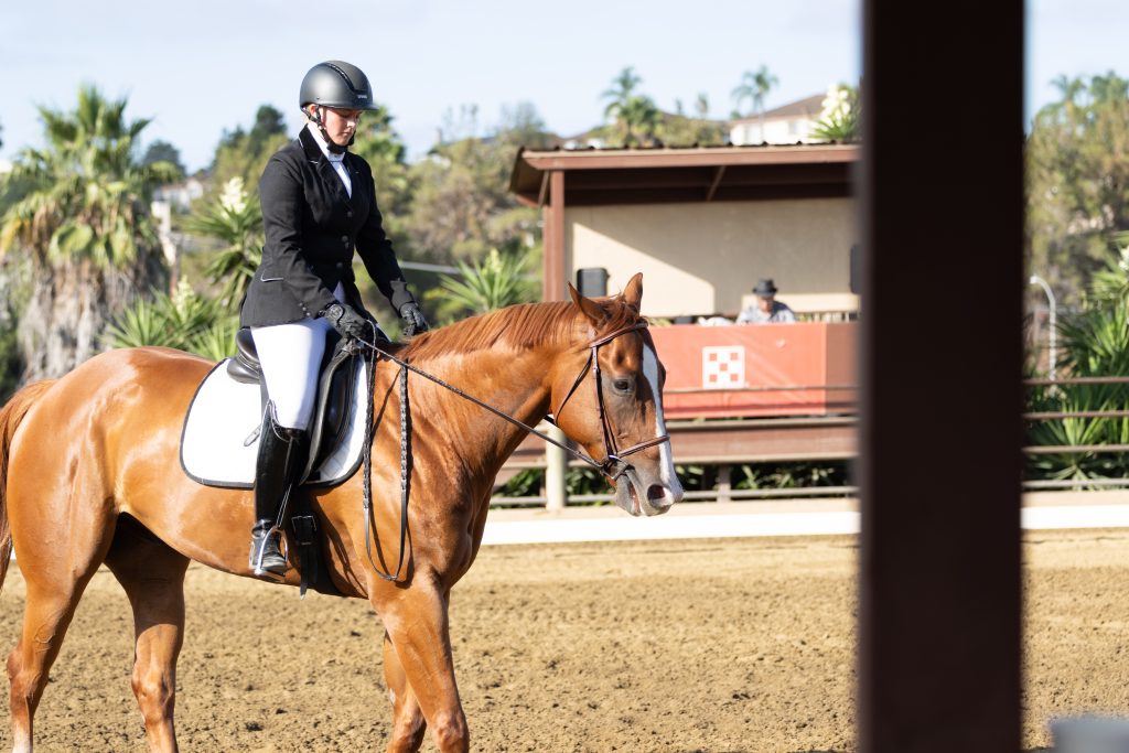 370 1 Varsity Open Dressage Test
