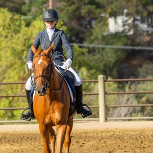367 1 Varsity Open Dressage Test 2J1A9532