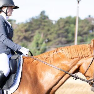 367 1 Varsity Open Dressage Test 2J1A9538
