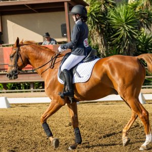 367 1 Varsity Open Dressage Test 2J1A9543