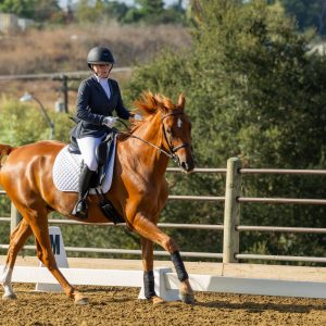 367 1 Varsity Open Dressage Test 2J1A9590