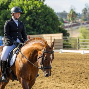 2 Varsity Open Dressage Equitation 2J1A9650