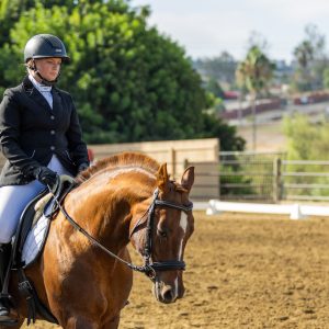 2 Varsity Open Dressage Equitation 2J1A9651