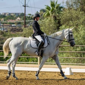 2 Varsity Open Dressage Equitation 2J1A9680
