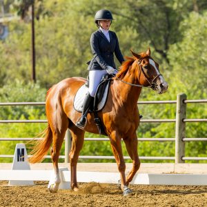 2 Varsity Open Dressage Equitation 2J1A9691