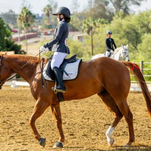 2 Varsity Open Dressage Equitation 2J1A9701