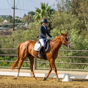 2 Varsity Open Dressage Equitation 2J1A9712