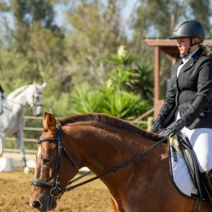 2 Varsity Open Dressage Equitation 2J1A9724